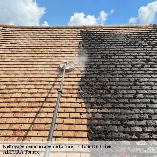 Nettoyage demoussage de toiture  la-tour-du-crieu-09100 ALTURA Toiture 