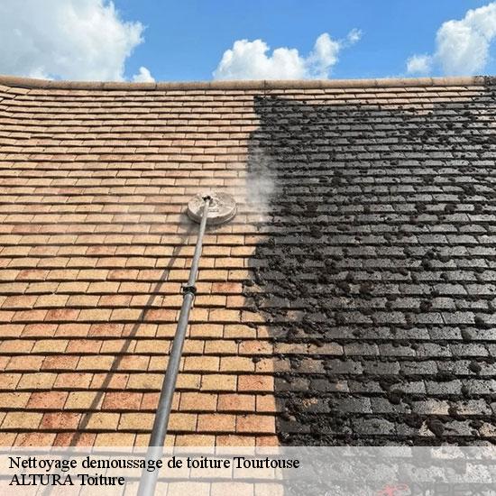 Nettoyage demoussage de toiture  tourtouse-09230 ALTURA Toiture 