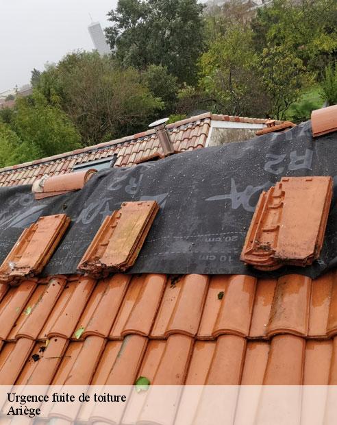 Urgence fuite de toiture 09 Ariège  ALTURA Toiture 