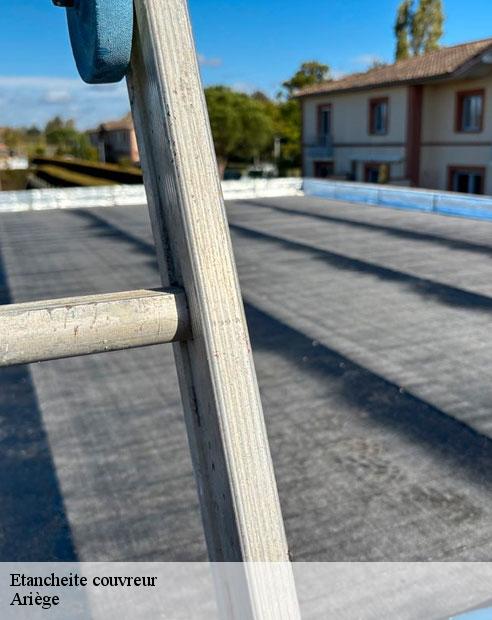 Etancheite couvreur 09 Ariège  ALTURA Toiture 