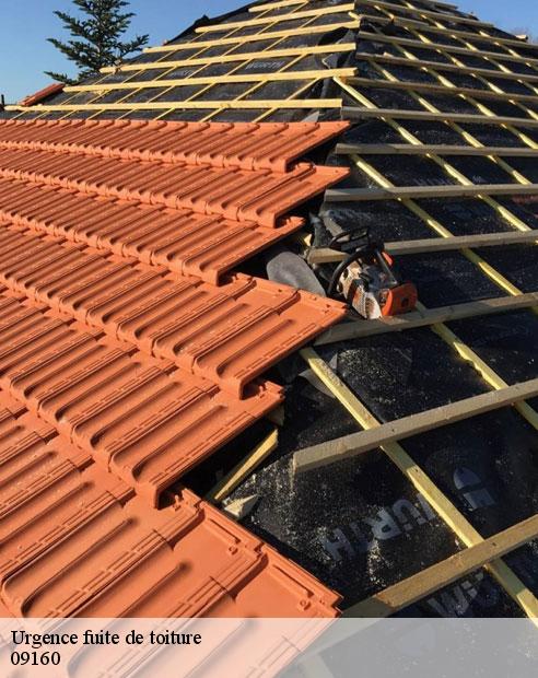 Urgence fuite de toiture  bagert-09160 ALTURA Toiture 