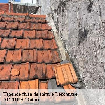 Urgence fuite de toiture lescousse-09100 ALTURA Toiture
