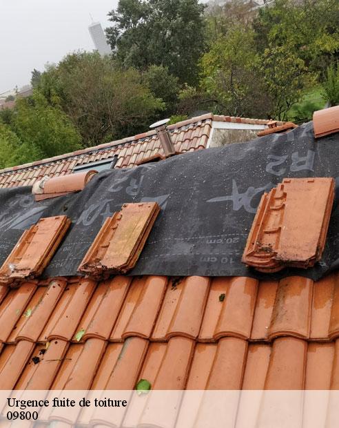 Urgence fuite de toiture  sentein-09800 ALTURA Toiture 