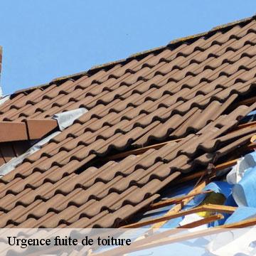 Urgence fuite de toiture  vicdessos-09220 ALTURA Toiture 