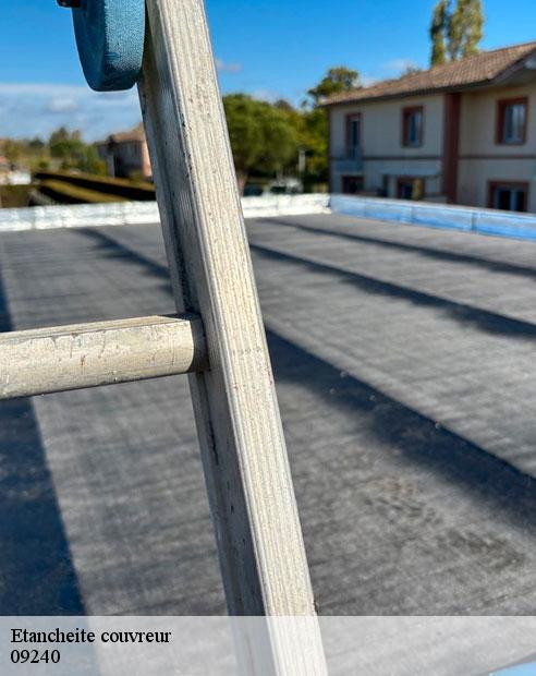 Etancheite couvreur  aigues-juntes-09240 ALTURA Toiture 