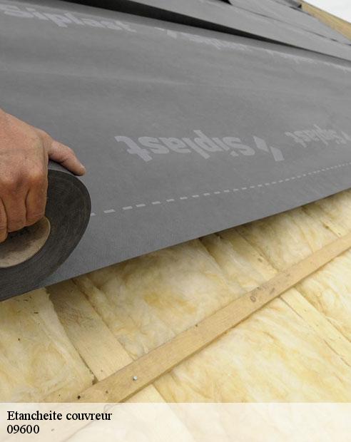 Etancheite couvreur  la-bastide-sur-l-hers-09600 ALTURA Toiture 