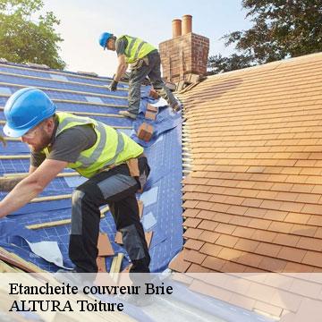 Etancheite couvreur  brie-09700 ALTURA Toiture 