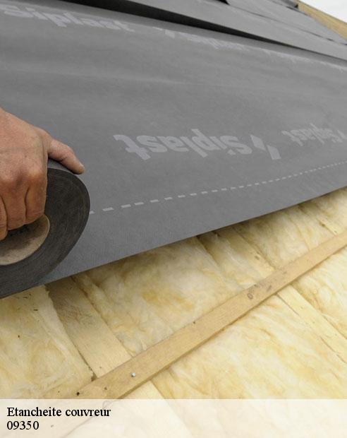 Etancheite couvreur  castex-09350 ALTURA Toiture 