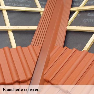 Etancheite couvreur  genat-09400 ALTURA Toiture 