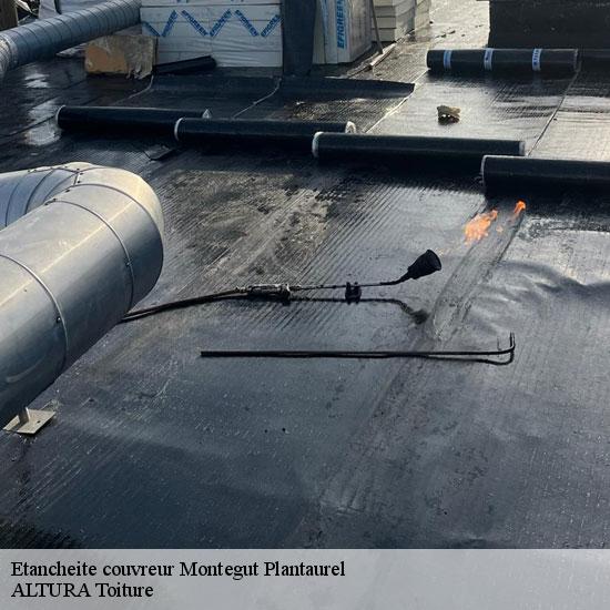 Etancheite couvreur  montegut-plantaurel-09120 ALTURA Toiture 