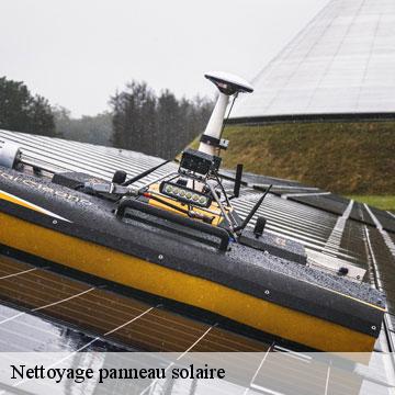 Nettoyage panneau solaire  montels-09240 ALTURA Toiture 