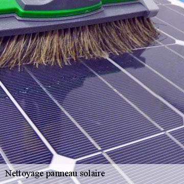 Nettoyage panneau solaire  salau-09140 ALTURA Toiture 