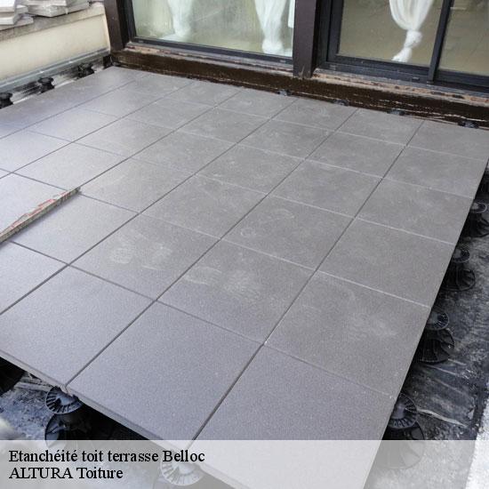 Etanchéité toit terrasse  belloc-09600 ALTURA Toiture 